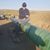 Shawn Sullivan's profile image