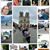 JOse Enrique Olaizola Leroux's profile image