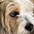 Mandy Spiess's profile image