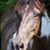 Christine Ettinger's profile image