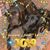 Christine Malloy's profile image