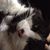 Anastacia Marie Scott's profile image