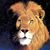 Omar Perez's profile image