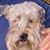 Jan Hanlon's profile image