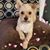 Sherry Luce's profile image
