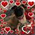 Jan Croft-Wallace's profile image