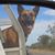 Lori Martin's profile image