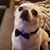 Lyndsey Burns's profile image