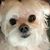 Pam Pierro Schultz's profile image