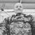Daniel Glenn Scott's profile image
