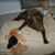 Aileen Bowers's profile image