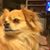 Sally Robert's profile image