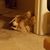 Mary Jones DeVault's profile image