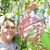 Ronie Amo's profile image