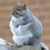 Kate Thornbery's profile image