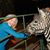 Janet Newcomb's profile image