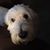 Rick Testa's profile image
