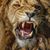 Chuck Valente's profile image