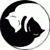 Steve Oreck's profile image
