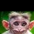 Pancho Gonzalez's profile image