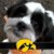 Sandra Hofbauer's profile image