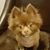 Tedi Estrada's profile image