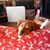 Judy Huston's profile image
