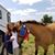 Debbie Chalmers Dykstra's profile image