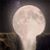 Dawn Herrmann's profile image
