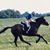Molly Bond Schaffner's profile image