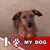 Karen Keys Weaver's profile image