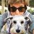 Bonnie Barrett Crawford's profile image