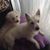 Cindy Hillwig's profile image