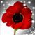 Mary Bair's profile image