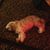 Chet Crist's profile image