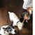 Deanna Brown-Johnson's profile image