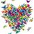 Angie Kieffer Hoke's profile image