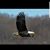Allen Goderre's profile image