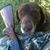 Jeff Heep's profile image