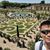Phu Do's profile image