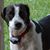 Joy Trimble's profile image