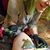 Magen Marie Wade's profile image