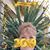 Teresa Haufle's profile image