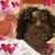 Evelin Arias's profile image