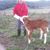 Chrissy Dionne's profile image