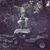 Sam Tiefel's profile image