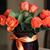 Valerie Loza's profile image
