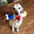 Melinda Thomas's profile image