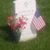 Elizabeth G Hollis's profile image