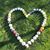 Shelagh Newton Michaud's profile image